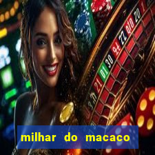 milhar do macaco que mais saem no jogo do bicho